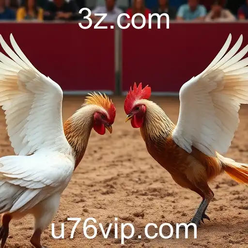 Rinha de Galos: História, Controvérsias e Impacto Cultural